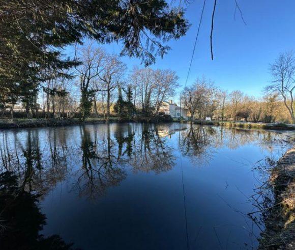 3-Bed Watermill House with Lake & Stream Near Barbezieux Image