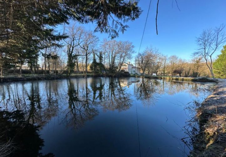 3-Bed Watermill House with Lake & Stream Near Barbezieux Image