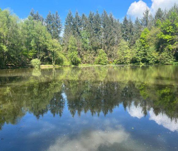 3 Spring-Fed Fishing Lakes & Cabin in the Dordogne Forest Image