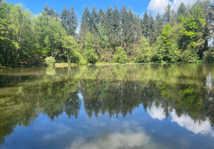 3 Spring-Fed Fishing Lakes & Cabin in the Dordogne Forest Image