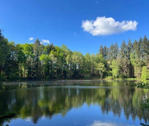 3 Spring-Fed Fishing Lakes & Cabin in the Dordogne Forest Image