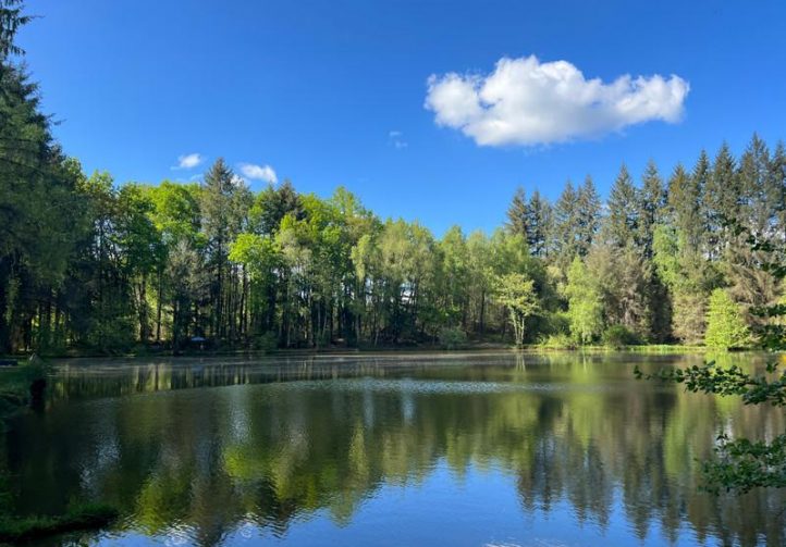 3 Spring-Fed Fishing Lakes & Cabin in the Dordogne Forest Image