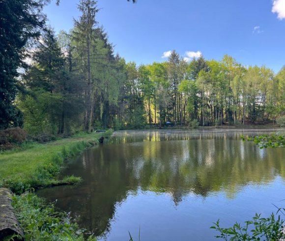 3 Spring-Fed Fishing Lakes & Cabin in the Dordogne Forest Image