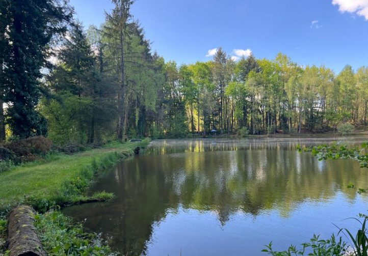 3 Spring-Fed Fishing Lakes & Cabin in the Dordogne Forest Image