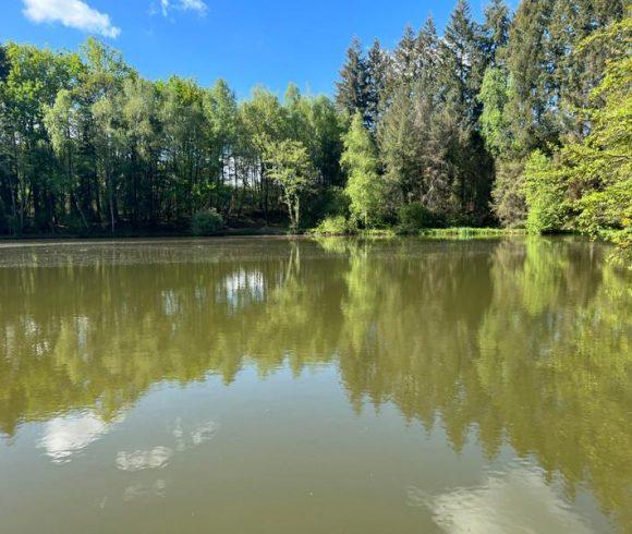 3 Spring-Fed Fishing Lakes & Cabin in the Dordogne Forest Image