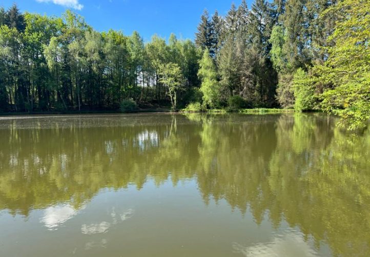 3 Spring-Fed Fishing Lakes & Cabin in the Dordogne Forest Image
