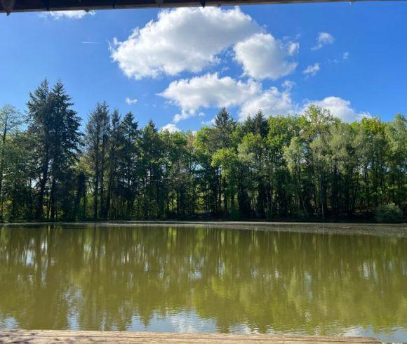 3 Spring-Fed Fishing Lakes & Cabin in the Dordogne Forest Image