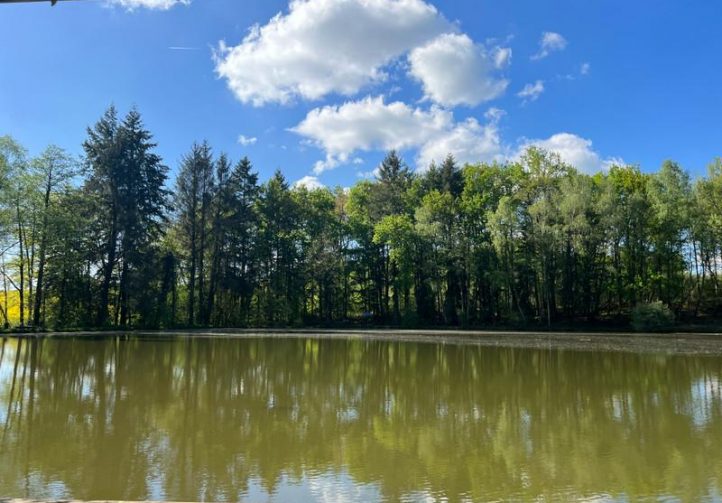 3 Spring-Fed Fishing Lakes & Cabin in the Dordogne Forest Image