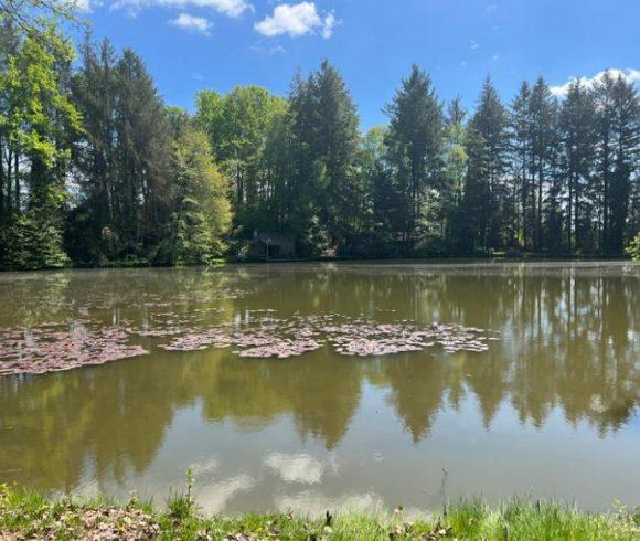 3 Spring-Fed Fishing Lakes & Cabin in the Dordogne Forest Image