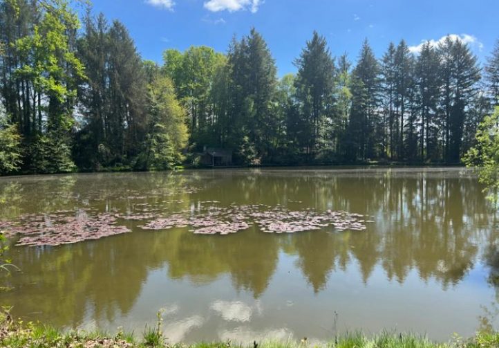 3 Spring-Fed Fishing Lakes & Cabin in the Dordogne Forest Image