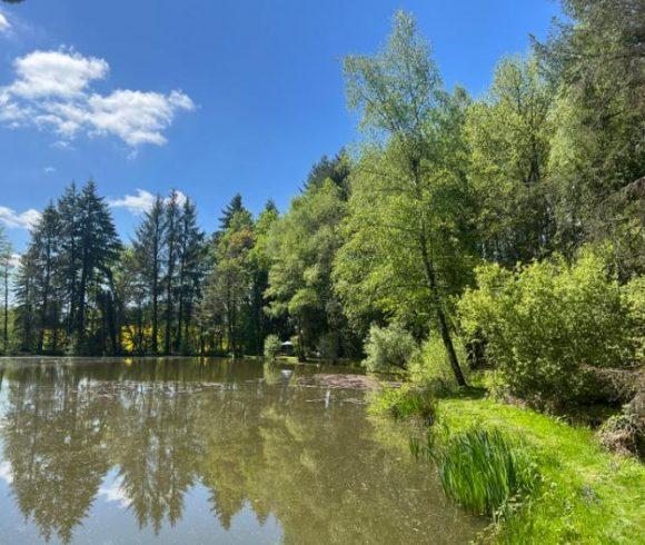 3 Spring-Fed Fishing Lakes & Cabin in the Dordogne Forest Image