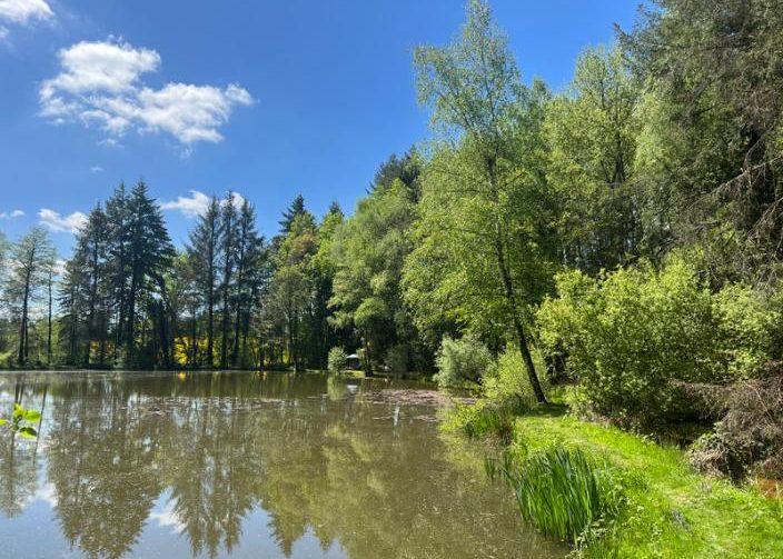 3 Spring-Fed Fishing Lakes & Cabin in the Dordogne Forest Image