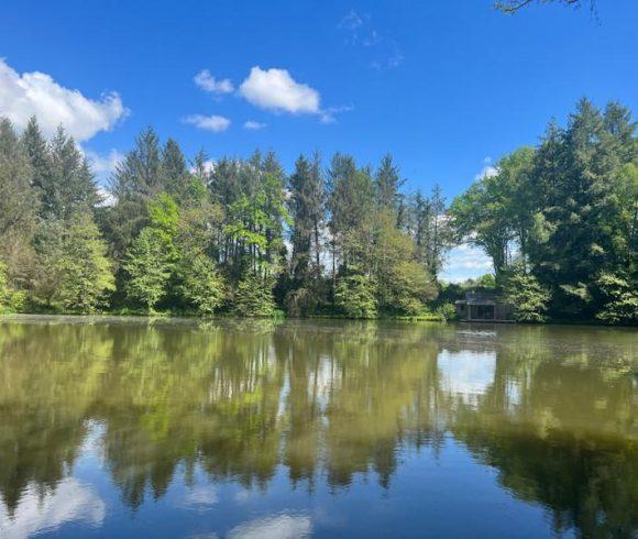 3 Spring-Fed Fishing Lakes & Cabin in the Dordogne Forest Image
