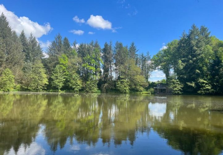 3 Spring-Fed Fishing Lakes & Cabin in the Dordogne Forest Image