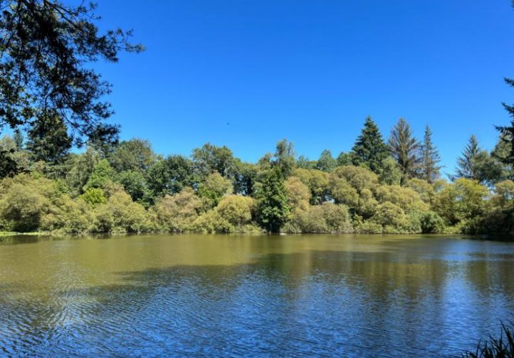 3 Spring-Fed Fishing Lakes & Cabin in the Dordogne Forest Image