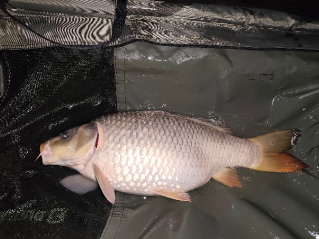 Belenos Lake: 25-04-2026 to 02-05-2026