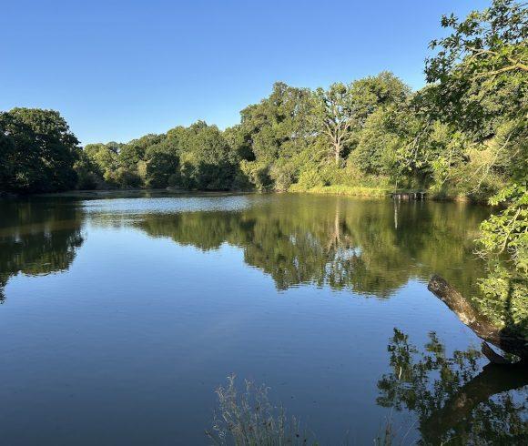 Oak Tree Lakes Image