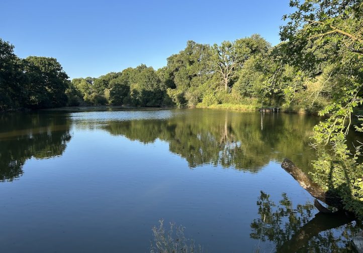 Oak Tree Lakes Image