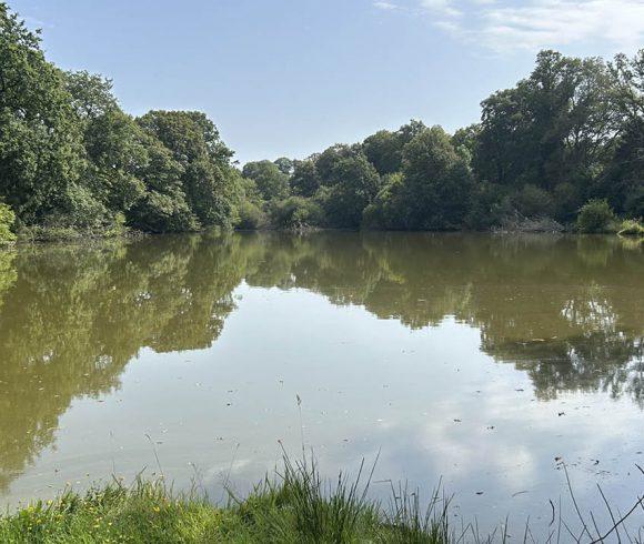 Oak Tree Lakes Image