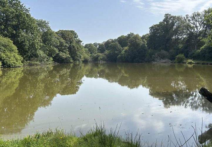 Oak Tree Lakes Image