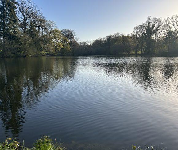 Oak Tree Lakes Image