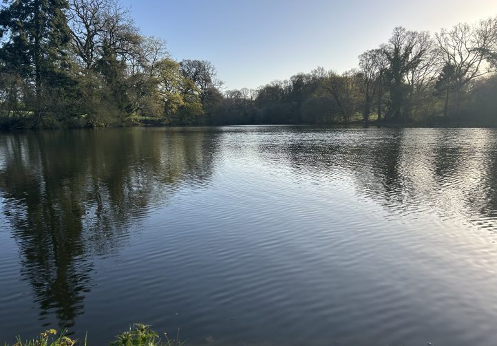 Oak Tree Lakes Image