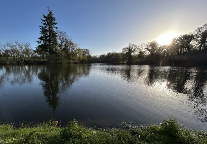 Oak Tree Lakes Image