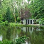 Birch Lake Image