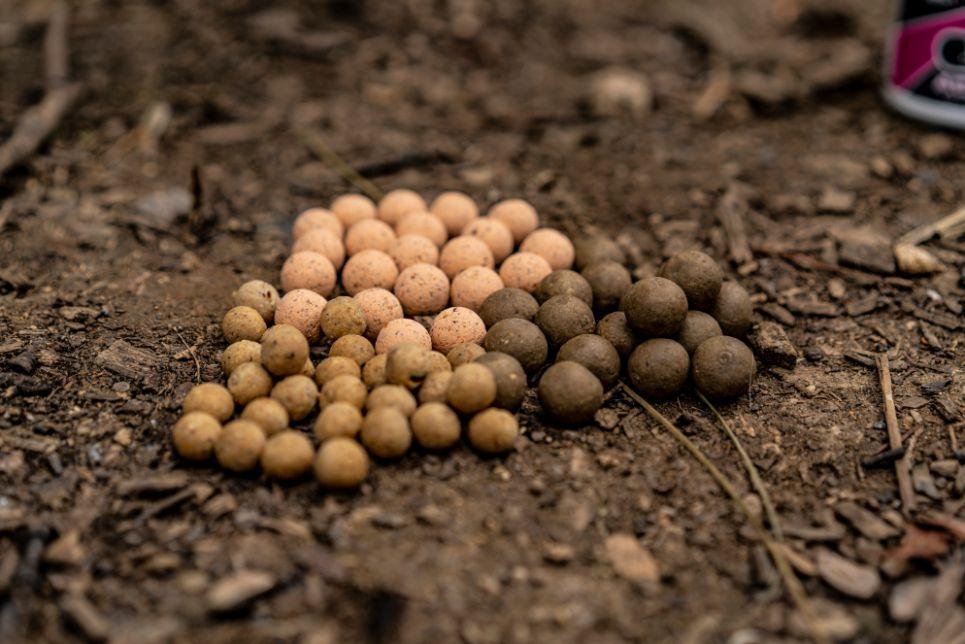 spread of boilies to catch big carp