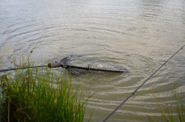 The Cottage Lake – 13 June, 2026