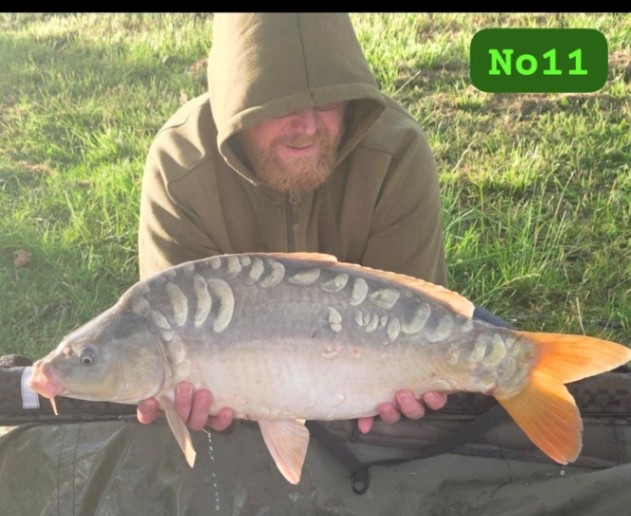 Fox Pool – 07 June, 2026