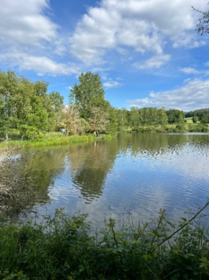 La Cour Carp Fishing: 09-05-2026 to 16-05-2026
