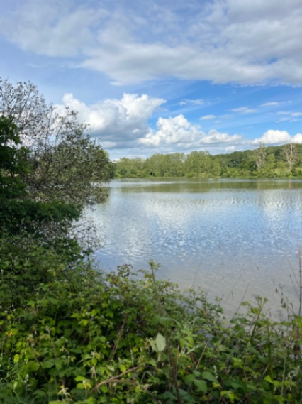 La Cour Carp Fishing: 09-05-2026 to 16-05-2026