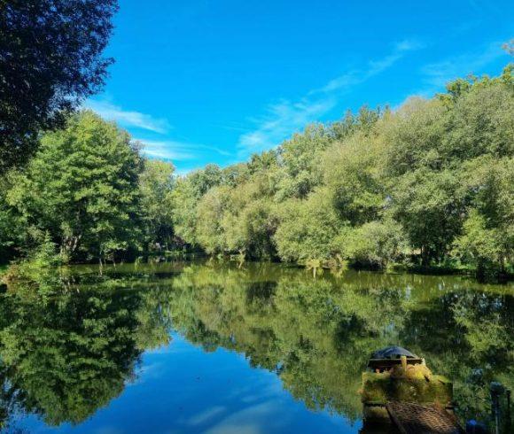 Birch Lake Image