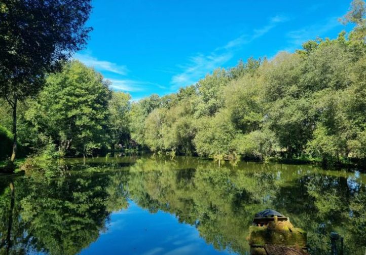 Birch Lake Image