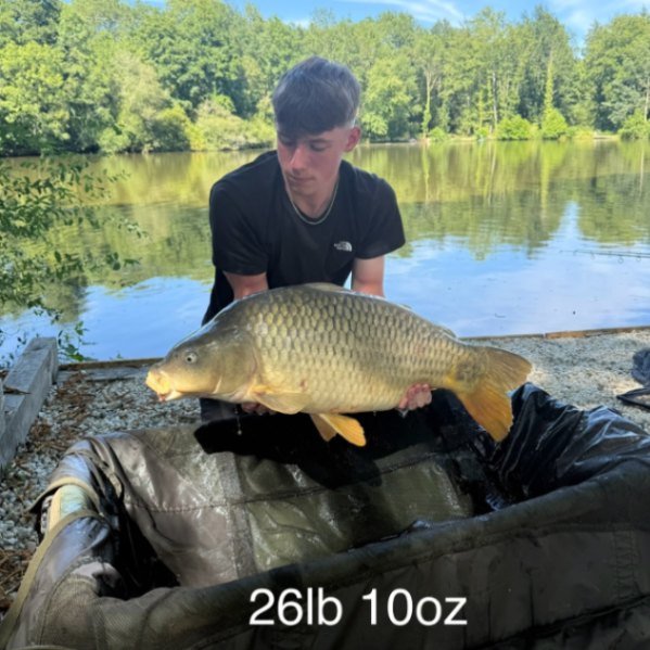 Kingfisher Lake – Carp France – 04 July, 2026