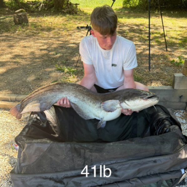 Kingfisher Lake – Carp France – 04 July, 2026