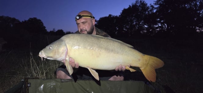 Fox Pool – 04 July, 2026