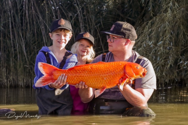 Etang Furet – 18 July, 2026