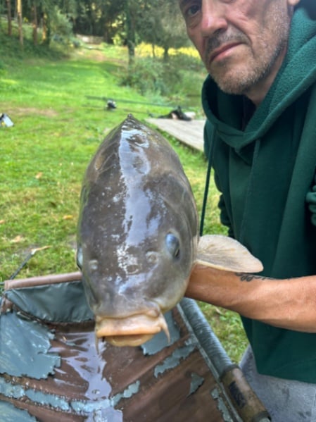 Chestnut Pool: 11-07-2026 to 18-07-2026
