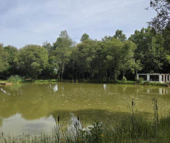 Eagles Lake & Peter’s Lake Image