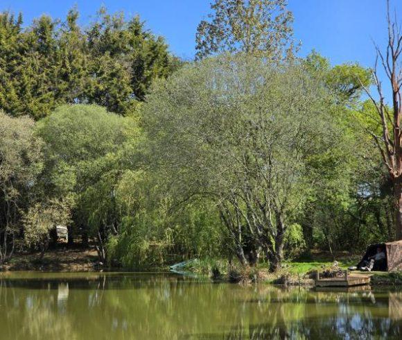 Eagles Lake & Peter’s Lake Image