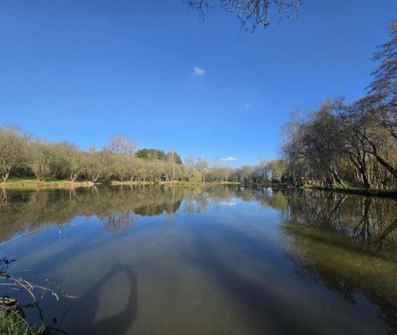 Poplars Lake Image