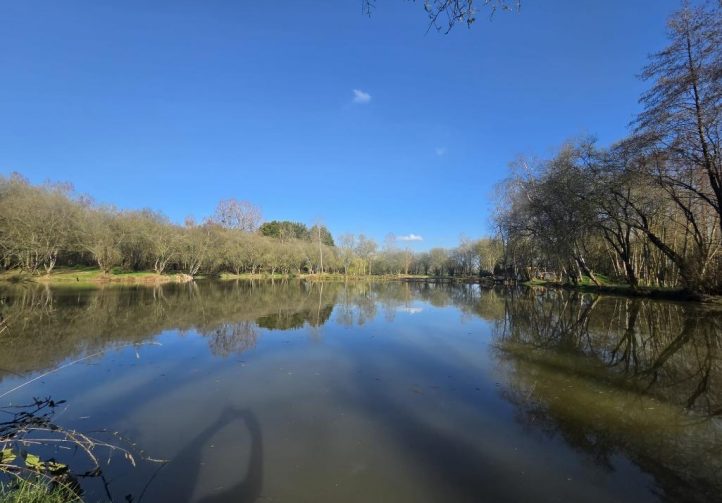 Poplars Lake Image