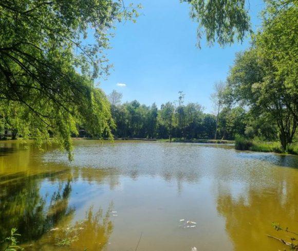 Eagles Lake & Peter’s Lake Image