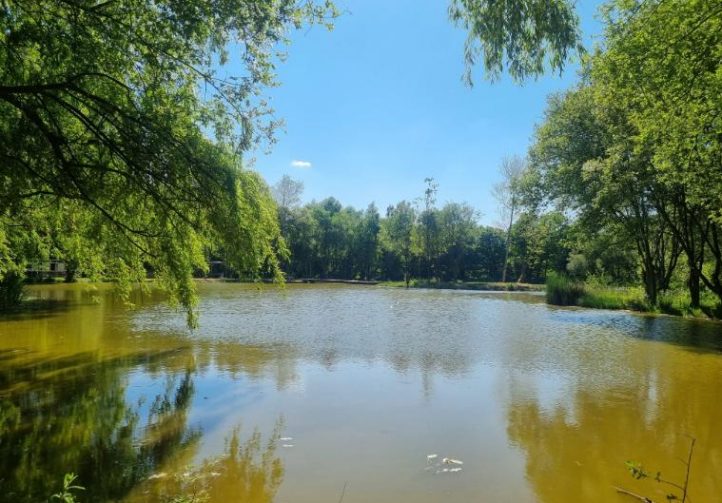 Eagles Lake & Peter’s Lake Image