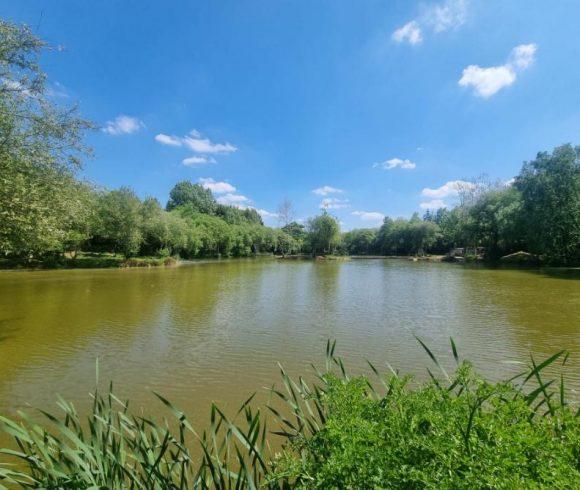 Orchard Lake Image