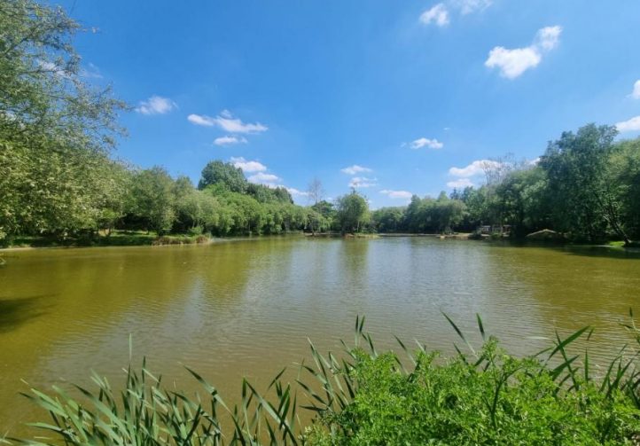 Orchard Lake Image