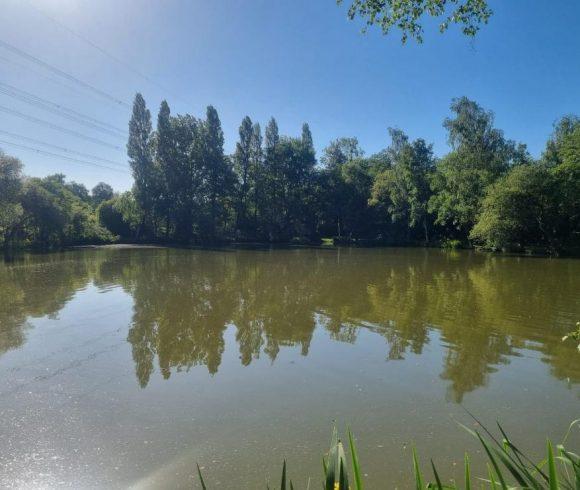 Orchard Lake Image