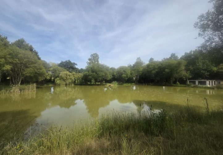 Eagles Lake & Peter’s Lake Image